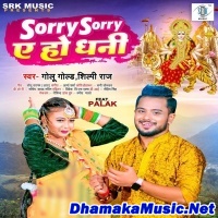 Sorry Sorry Ae Ho Dhani (Golu Gold, Shilpi Raj) 